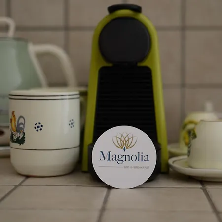 Bed & Breakfast Magnolia Centro Storico 4*